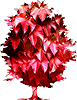 ������� 2